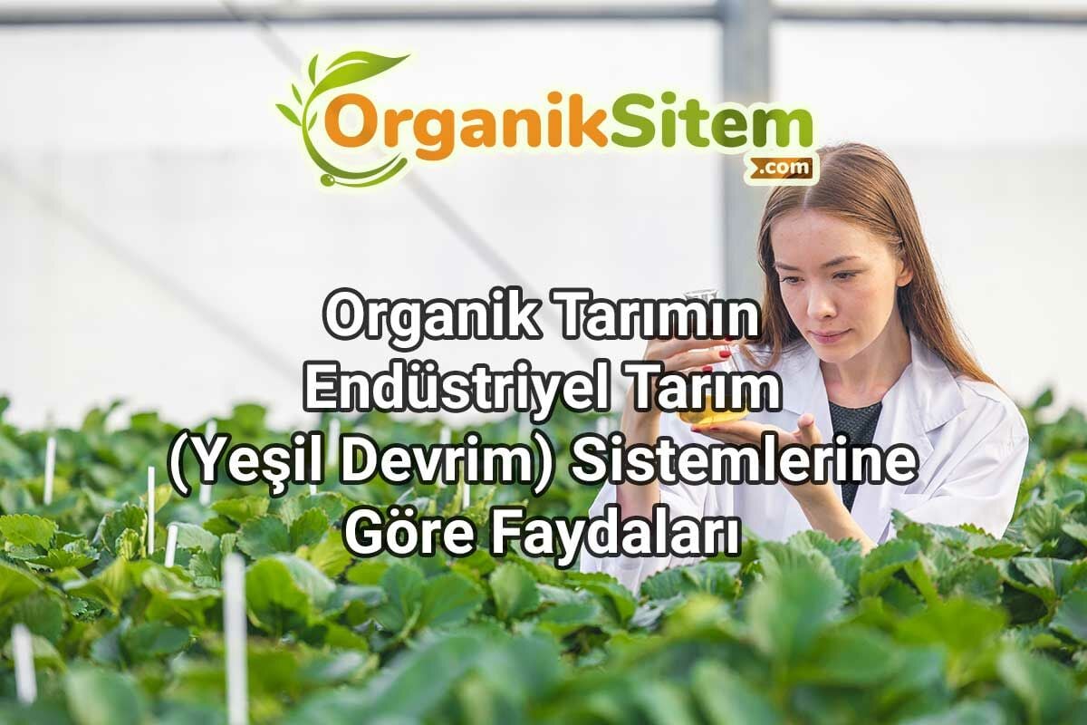 Organik Tarımın Endüstriyel Tarım Sistemlerine Göre Faydaları