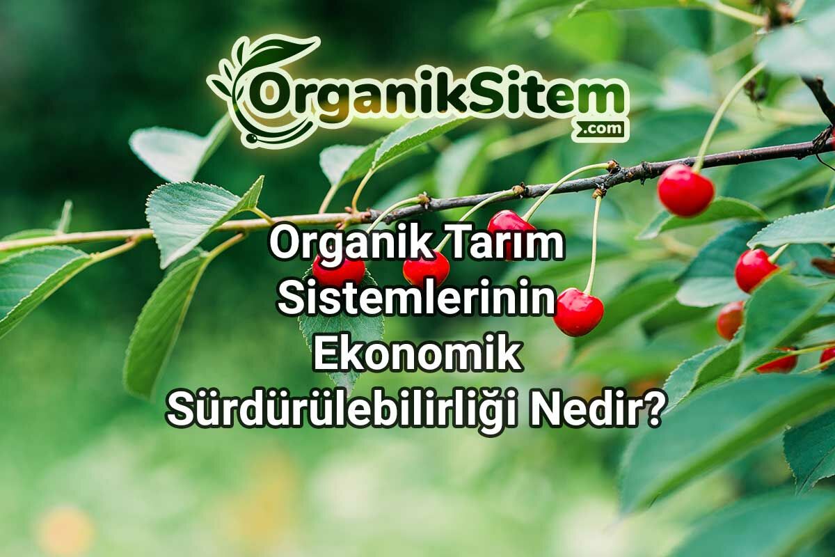 Organik Tarım Sistemlerinin Ekonomik Sürdürülebilirliği Nedir?