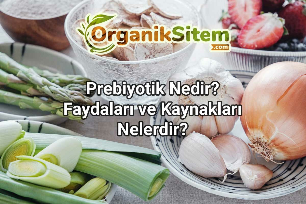 Prebiyotik Nedir? Faydaları ve Kaynakları Nelerdir?