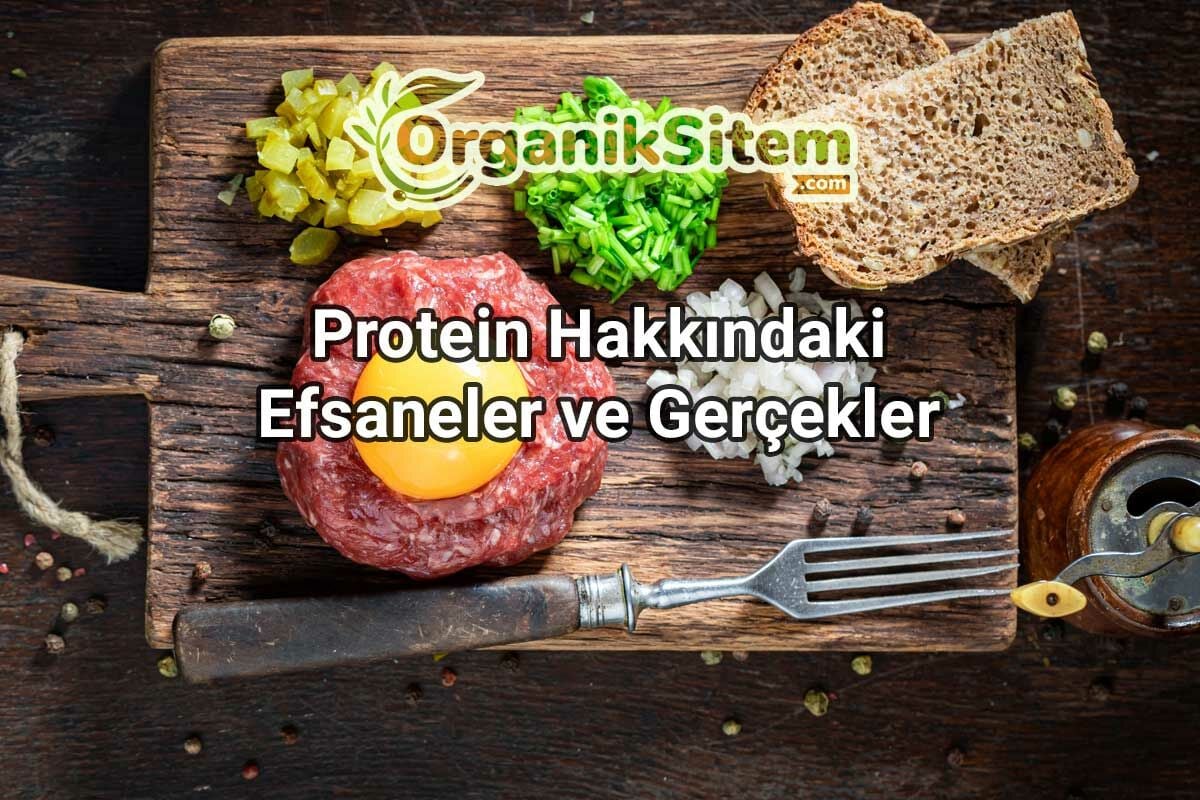 Protein Hakkındaki Efsaneler ve Gerçekler