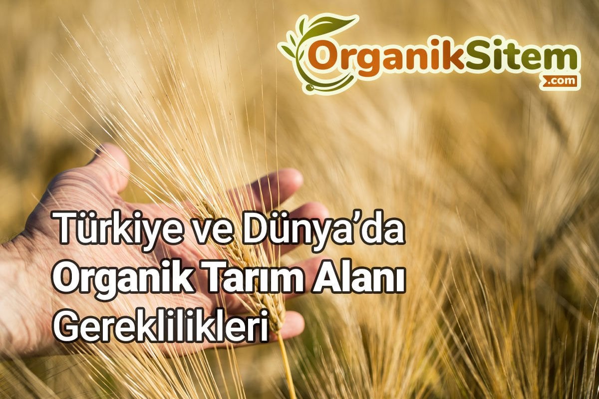 Türkiye ve Dünya’da Organik Tarım Alanı Gereklilikleri