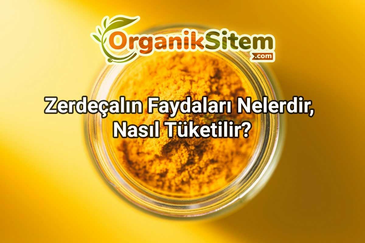 Zerdeçalın Faydaları Nelerdir, Nasıl Tüketilir?