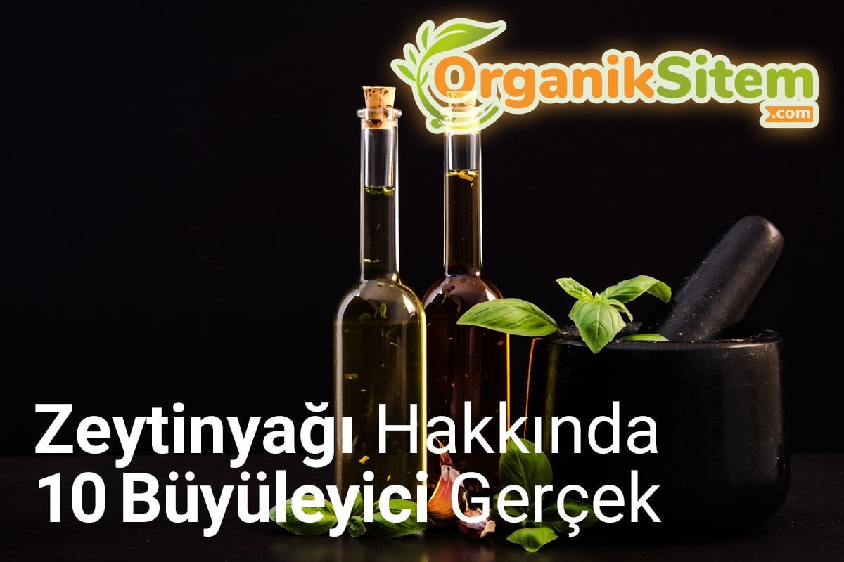 Zeytinyağı Hakkında 10 Büyüleyici Gerçek