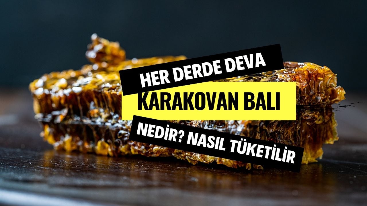 Her Derde Deva: Karakovan Balı