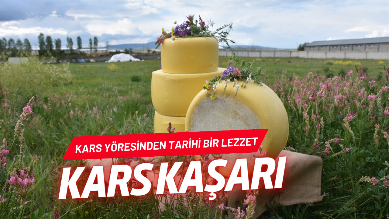 Kars’tan Tarihi Bir Lezzet: Kars Kaşarı