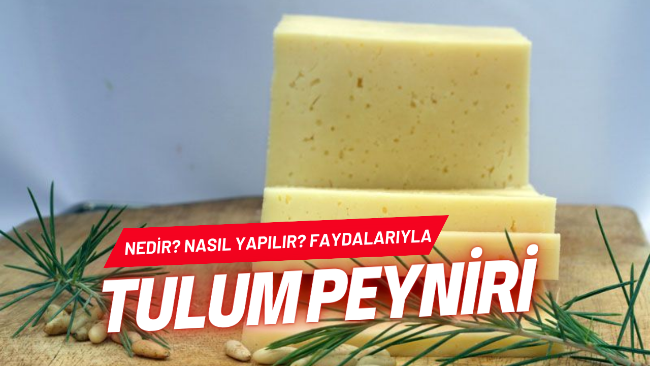 Eşsiz Aromaya Sahip Olan Tulum Peyniri Nedir?