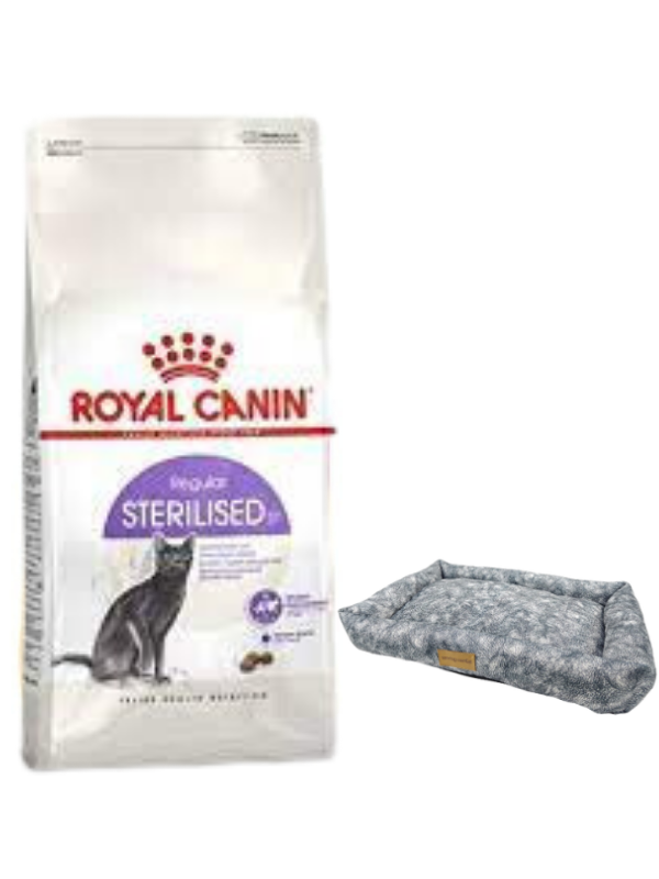 Royal Canin Sterilised 37 Kısırlaştırılmış Kuru Kedi Maması 10 Kg, Mini Small Colours Yatak