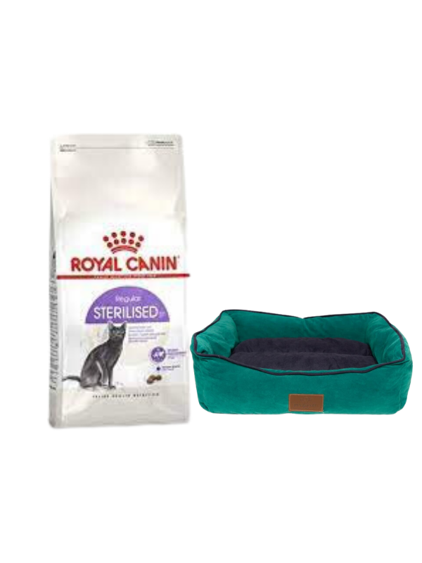Royal Canin Sterilised 37 Kısırlaştırılmış Kuru Kedi Maması 15 Kg, Mini Small Colours Yatak