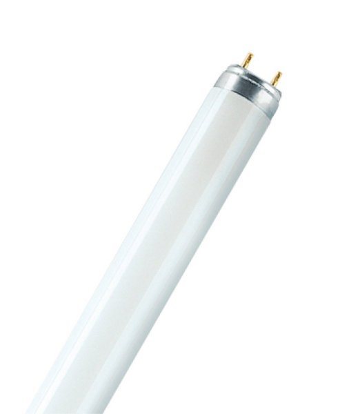 Osram LUMILUX T8 36W Floresan (25'li kutu)