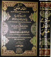 Şerh Molla Hanefi alar Risaletil Adudiyye fi Adabil Bahsi vel Münazara 1/2شرح الملا حنفي على الرسالة العضدية