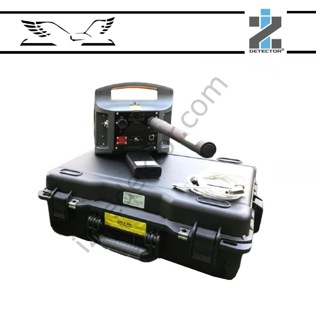Proton Elic Standart