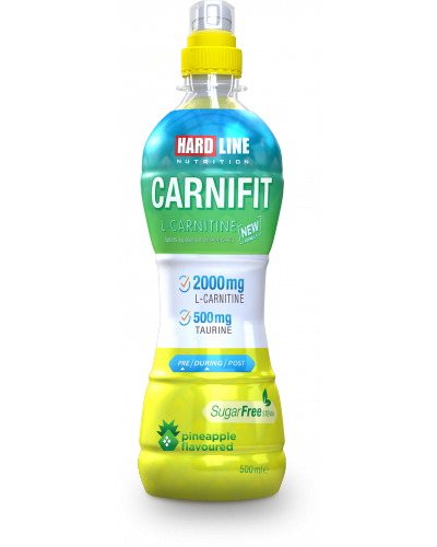 Carnifit ANANAS 12000 ml(500 ml*24 Adet)