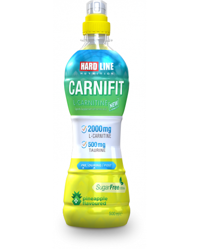 Carnifit ANANAS 12000 ml(500 ml*24 Adet)