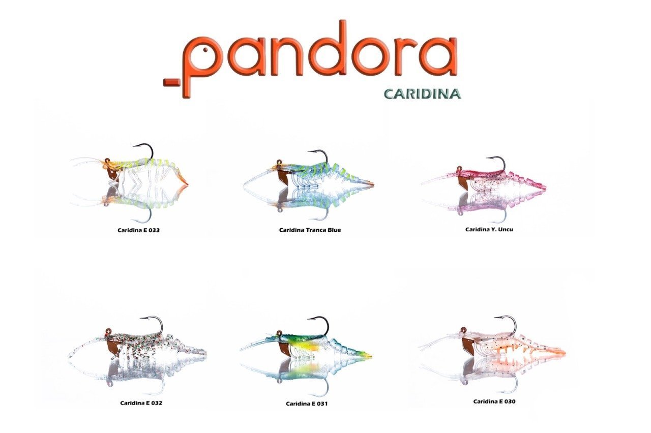 Pandora Caridina