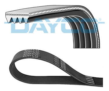 TRİGER KAYIŞI 116RP 254HT SCUDO-JUMPY-C4 PICAS-C5-CMAX-FOCUS 3-MOND-SMAX-P308-P407-EXP 2.0HDI 10