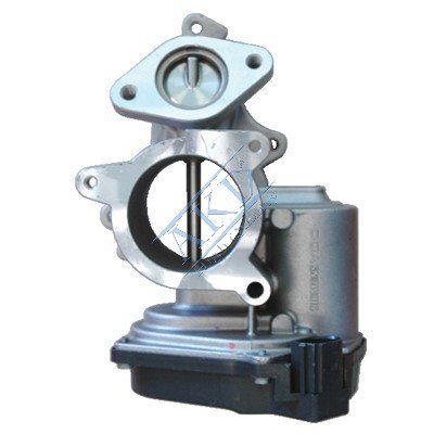 EGR VALFI A4 A6 2.0TDI BLB-BNA-BRE-BRD-BRF-BVF-BVA-BVG 05 08