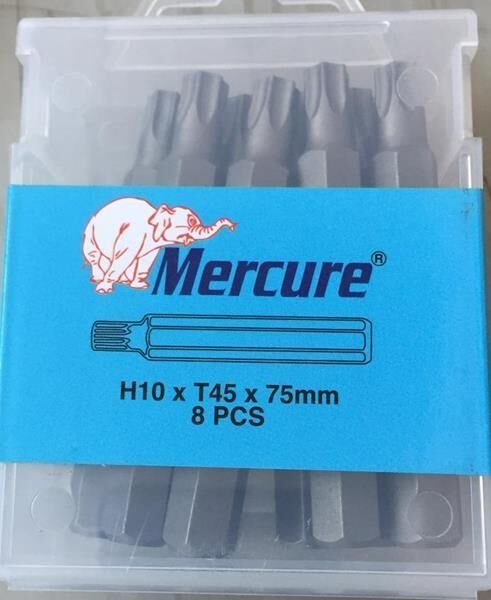 T45-75MM TORX BİTS UÇ