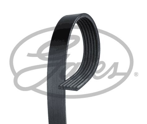 KANALLI KAYIŞ MEGANE 1.6-1.8-2.0 16V 00 BERLINGO 99 C5 01-04 P306 98-01 P406 96-04