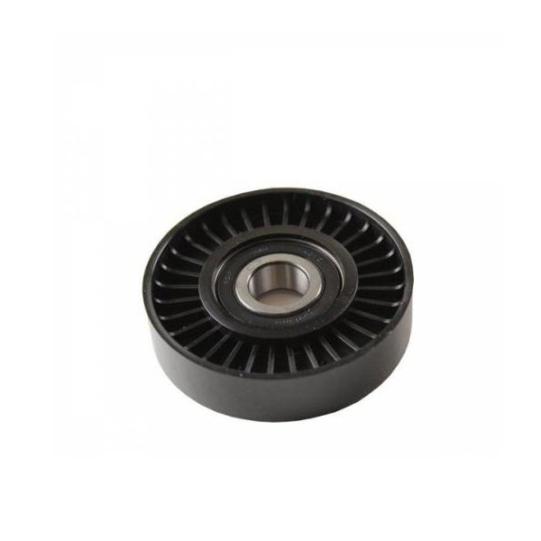 ALTERNATÖR GERGİ RULMANI CLIO 2-MODUS 1.4 16V 00