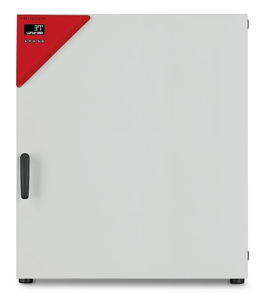 BINDER BD 260 İnkübatör