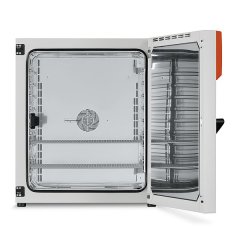 BINDER BF 260 İnkübatör