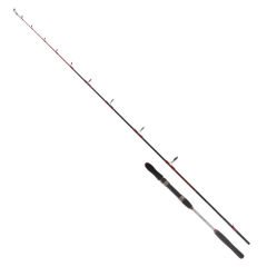 Ryuji Searider 1.80m 60-180gr 2P Jig Kamış