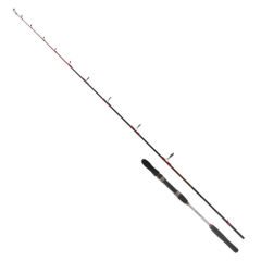 Shimano FX 4000 FC & Ryuji Searider 1.80m 60-180gr Tekne Seti