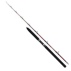 Ryuji Deep Rider 1.80m 50-80 LBS 1+1 Trolling Olta Kamışı