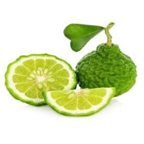 Bergamot Fidanı Yetiştiriciliği