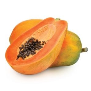 Papaya Fidanı Yetiştiriciliği