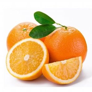 Portakal Fidanı Yetiştiriciliği
