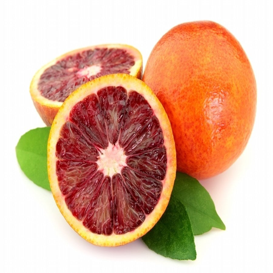 Tüplü Aşılı Kan Kırmızı Kan Portakal Fidanı-Meyve Verme Durumunda