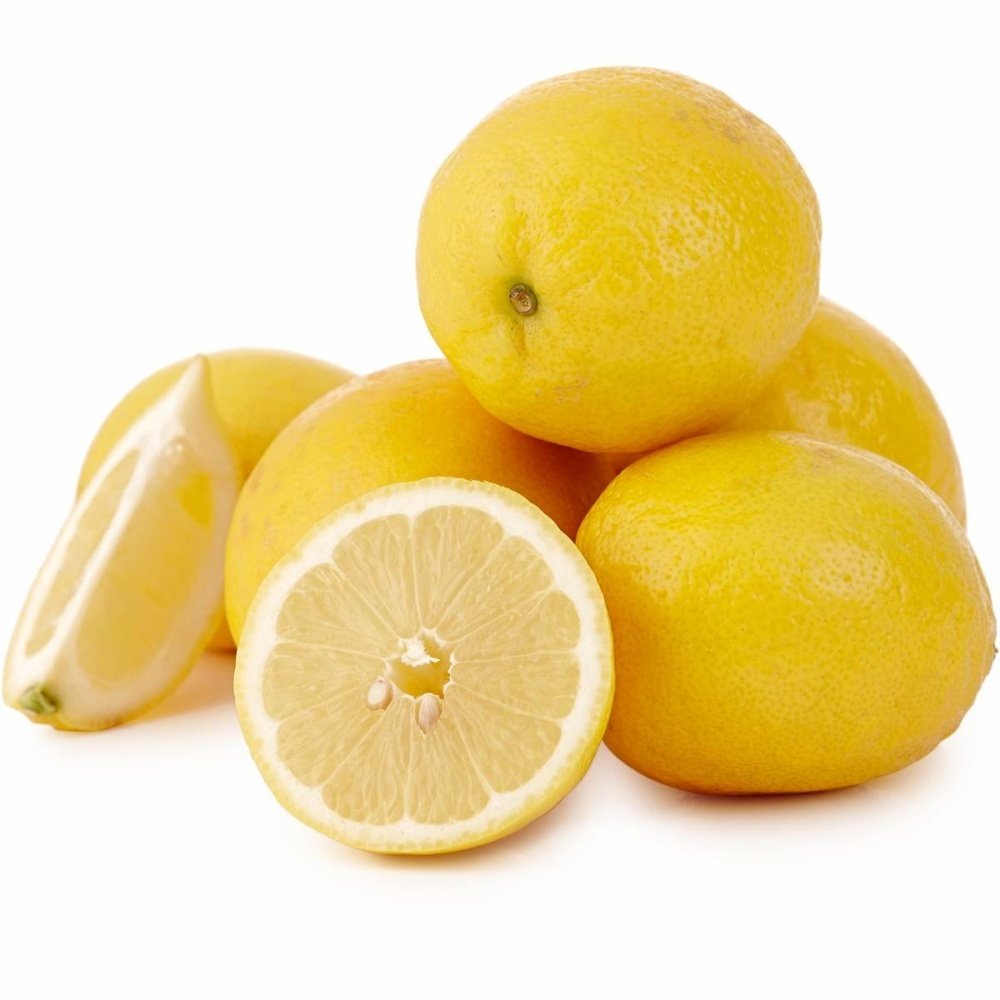 Tüplü Aşılı Jumbo Extra Boyutlu Limon Fidanı