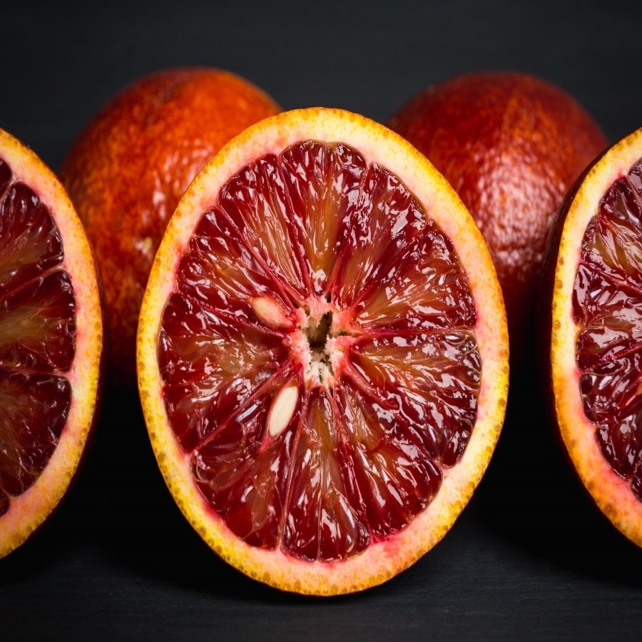 Tüplü Aşılı İlginç Meyveli Kırmızı Australian Blood Limon Fidanı
