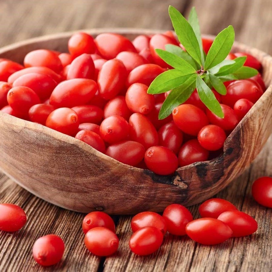 Tüplü NQ7 Kırmızı Goji Berry Fidanı Meyve Verme Durumunda Saksıda