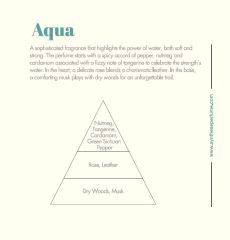Aqua Unisex Parfum