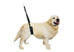 Comfort Belly Strap for Big Dogs