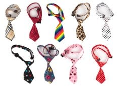 Canine Costume Ties 10-pack Assorted