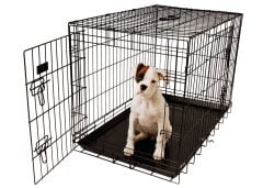 American Cage Black with Plastic Tray Size 2 - 78x49x53,5cm Cage