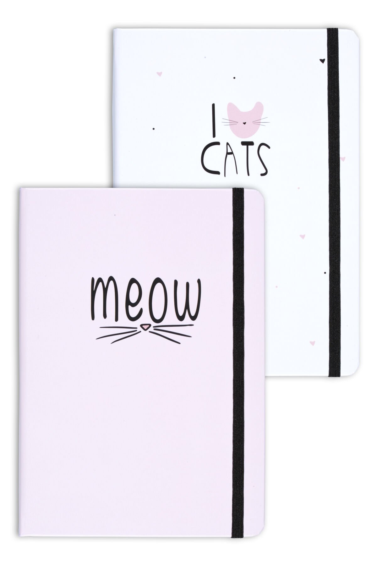 Matt Notebook A5 2'li Defter Seti 15x21 cm Noktalı Kedi