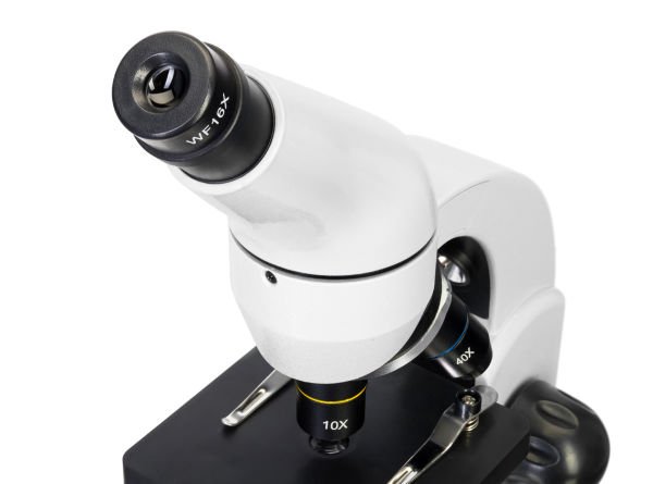Levenhuk Rainbow D50L PLUS 2M Dijital Mikroskop, Moonstone
