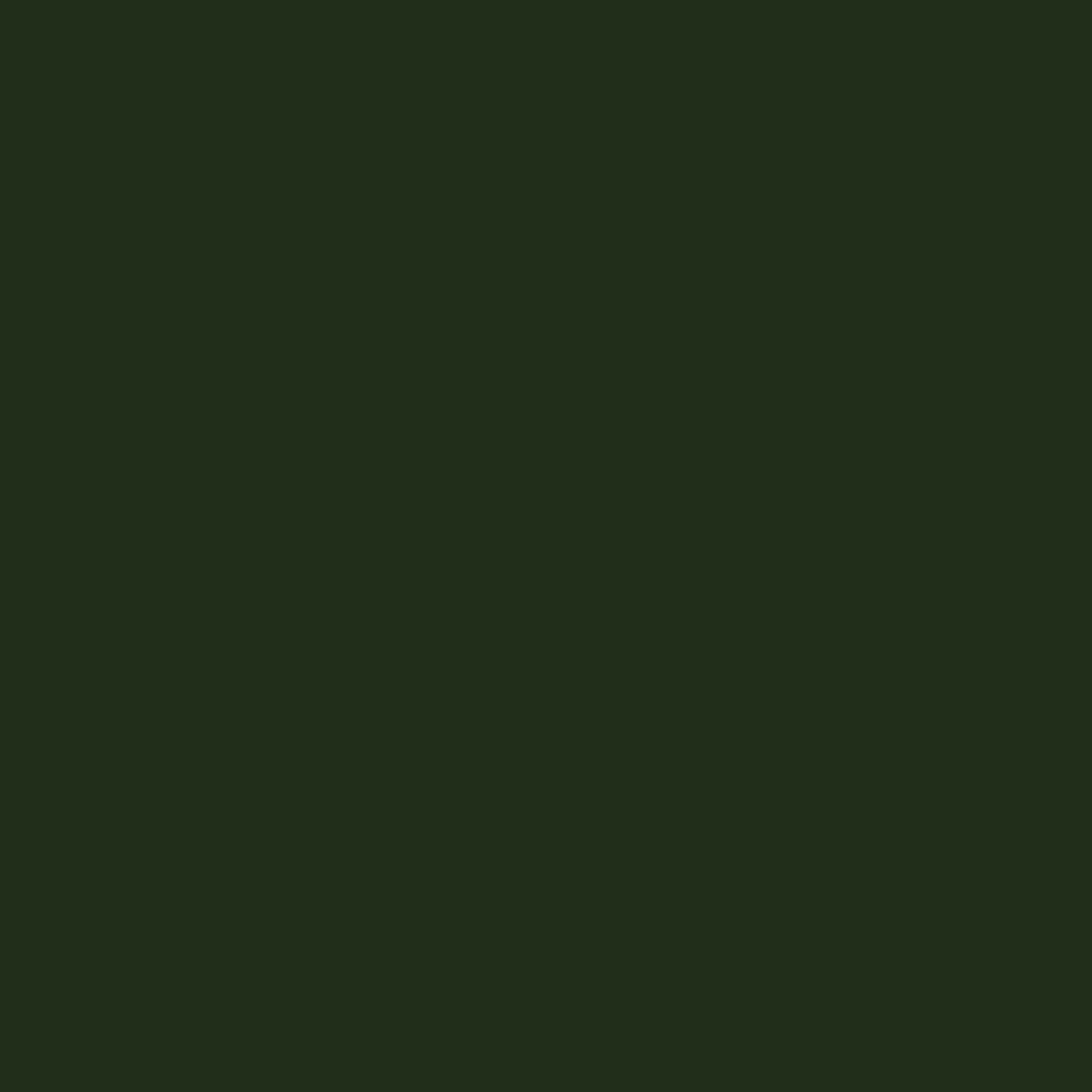 WALLPAPER 80106 BIG