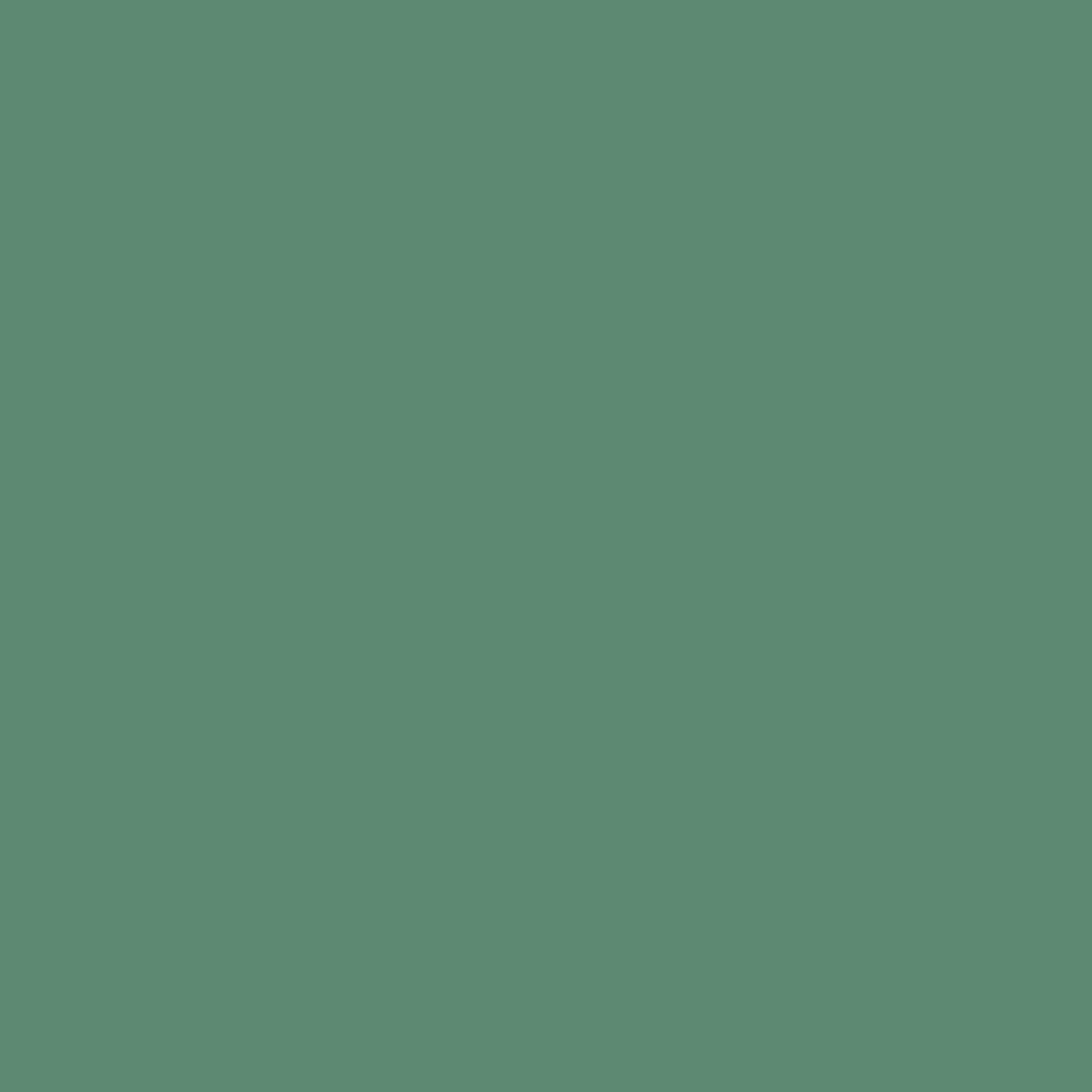 WALLPAPER 80109 BIG
