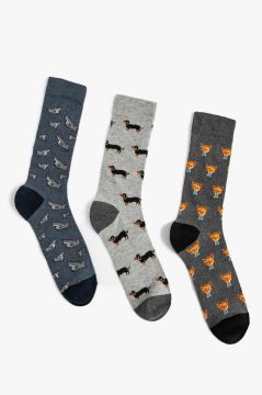 Koton Erkek 3'lü Soket Çorap Seti Hayvan Desenli Çok Renkli
