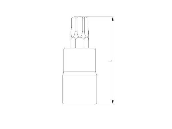 1113 Lokmalı Star Torx Uç 1/2'' T60