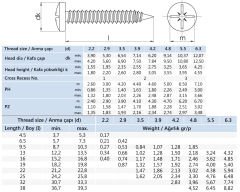 6.3x38 mm YSB Saç Vidası DIN 7981
