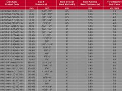 Delikli Bant Sac Hortum Kelepçesi 25-42 mm