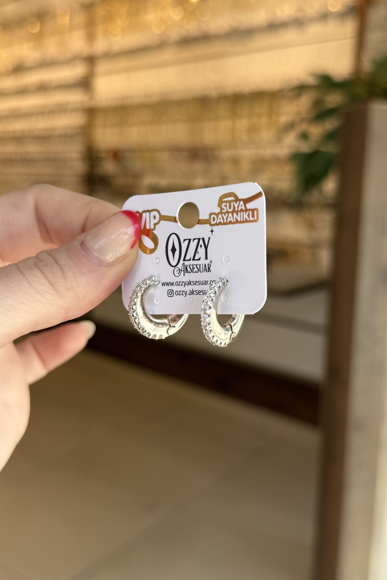 VIP Önü Sıra Taşlı Yassı Model Halka Küpe Gümüş Renk
