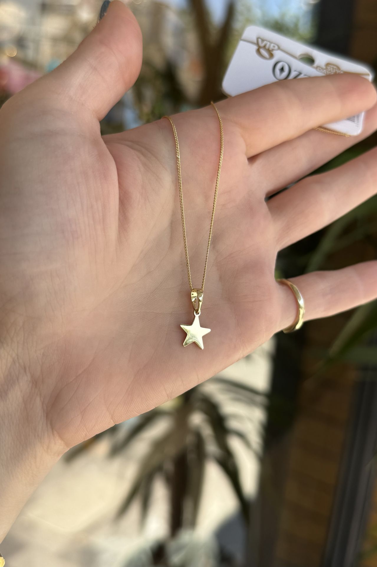 VIP Plaka Yıldız Kolye 45 cm 14K