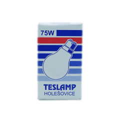 Teslamp 75W 240V 2800K B22 A60 Buzlu Cam Halojen Normal Ampul